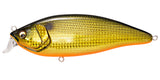 KONOSIRUS SHAD