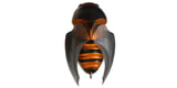BEETLE-X HOVER CRAWL