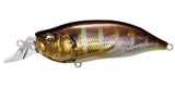IxI SHAD TYPE-R