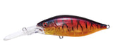 DEEP-X 200 LBO