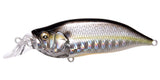 IxI SHAD TYPE-R