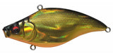 VIBRATION-X RATTLE IN
