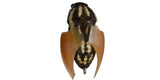 BEETLE-X HOVER CRAWL