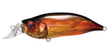 IxI SHAD TYPE-R
