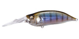 IxI SHAD TYPE-3