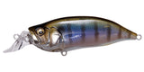 IxI SHAD TYPE-R
