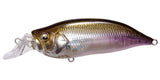 IxI SHAD TYPE-R
