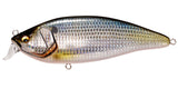 KONOSIRUS SHAD