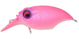 GRIFFON Bait Finesse SR-X