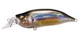 IxI SHAD TYPE-R