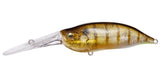 IxI SHAD TX