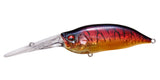 IxI SHAD TX