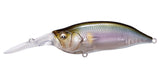 IxI SHAD TYPE-3