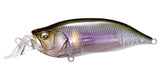 IxI SHAD TYPE-R
