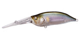 IxI SHAD TX