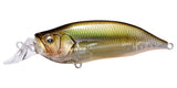 IxI SHAD TYPE-R