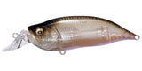 IxI SHAD TYPE-R