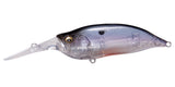 IxI SHAD TYPE-3