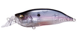 IxI SHAD TYPE-R