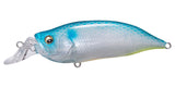 IxI SHAD TYPE-R
