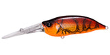 IxI SHAD TX