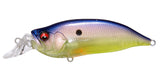 IxI SHAD TYPE-R