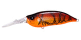 IxI SHAD TYPE-3