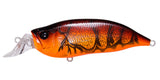 IxI SHAD TYPE-R