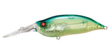IxI SHAD TYPE-3