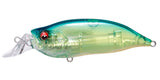 IxI SHAD TYPE-R