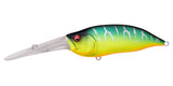 IxI SHAD TX