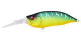 IxI SHAD TYPE-3