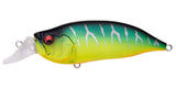 IxI SHAD TYPE-R