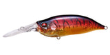 IxI SHAD TYPE-3