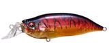 IxI SHAD TYPE-R