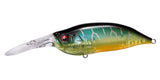 IxI SHAD TYPE-3