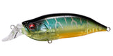 IxI SHAD TYPE-R