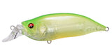 IxI SHAD TYPE-R