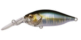 DEEP-X 100 LBO