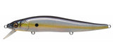 VISION ONETEN 110 USA TOUR Limited