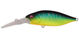 DEEP-X 200 LBO