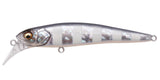 HALIBUT 90