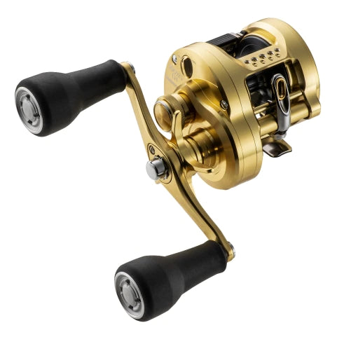 SHIMANO 23 CALCUTTA CONQUEST MD – blueseabass