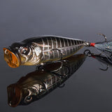 Respect Color GG MIDNIGHT BONE