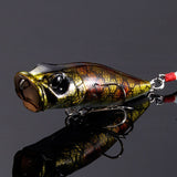 Respect Color GENROKU