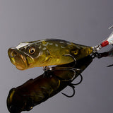 Respect Color ITO GORI