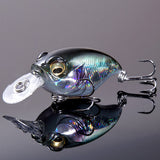 Respect Color GG BIWAHIGAI