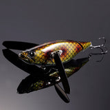 Respect Color GENROKU