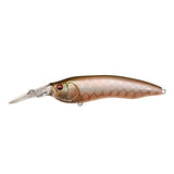 LIVE-X MODEL1 Limited Color SP-C