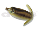 BASIRISKY 60